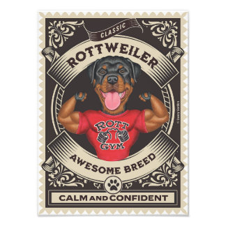 Foto Rottweiler Cute con los músculos