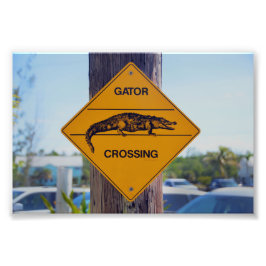 Foto Rótulo Gator Crossing, Florida
