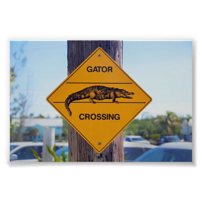 Foto Rótulo Gator Crossing, Florida (Frente)