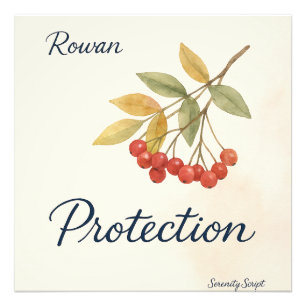 Foto Rowan — Protección   Colección de Serenidad Script