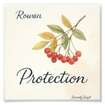 Rowan — Protection | Serenity Script Collection