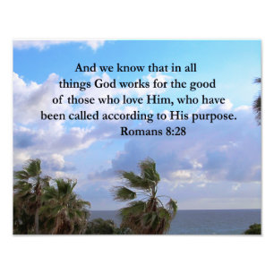 FOTO RUMANOS INSPIRADORES 8:28