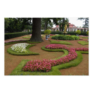 Foto Rusia, San Petersburgo, Palacio Peterhof también c