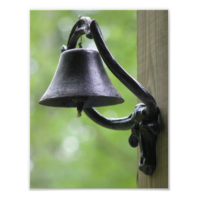 Foto Rústico proyecto de ley de cena con Steer (Frente)