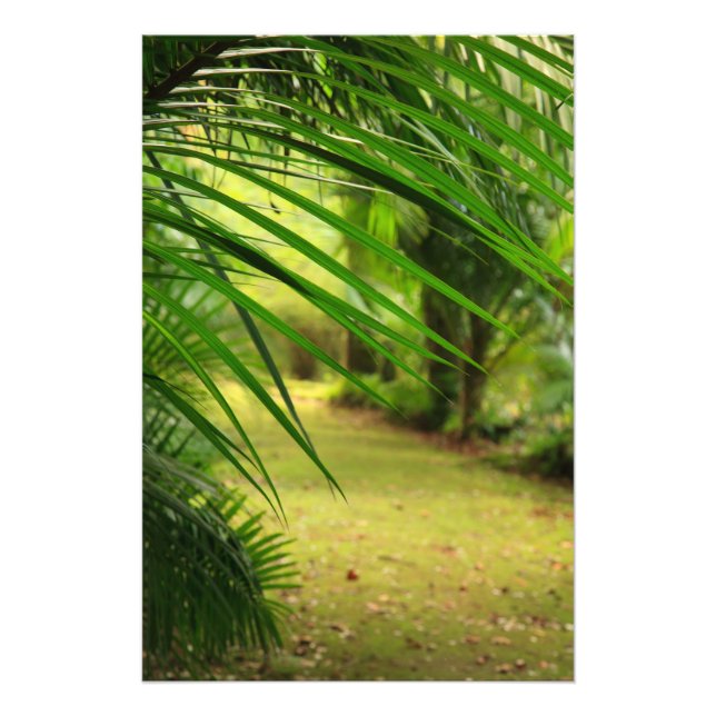 Foto Ruta de acceso (Frente)