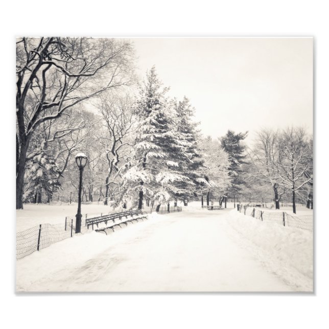 Foto Ruta de invierno de Central Park - Nueva York (Frente)