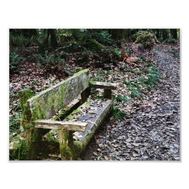 Foto Ruta de la Naturaleza Mossy Bench en el Parque Nac (Frente)