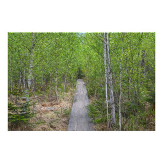 Foto Ruta de la Serenidad