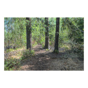 Foto Ruta del bosque