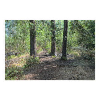 Foto Ruta del bosque