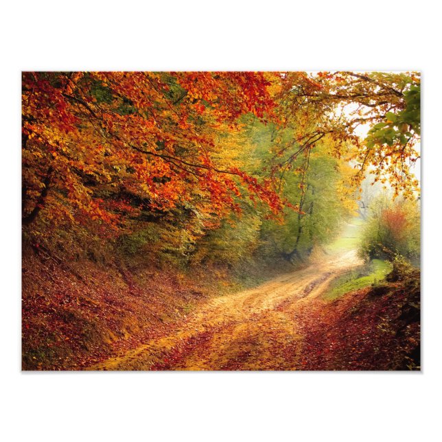 Foto Ruta del bosque otoñal (Frente)