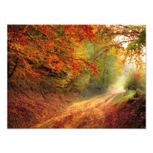 Foto Ruta forestal del otoño