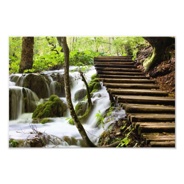 Foto Ruta y flujo en el bosque (Frente)