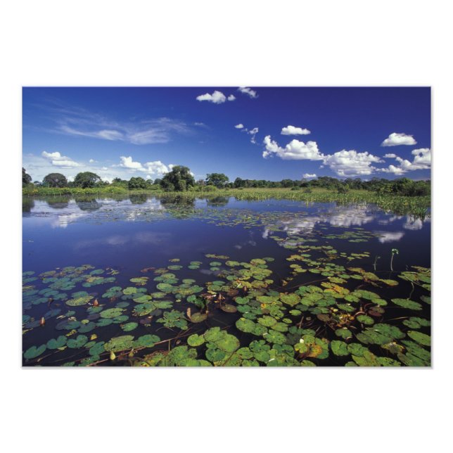 Foto S.A., Brasil, vías navegables en Pantanal (Frente)