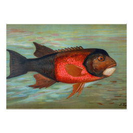 Foto Sacramento Pike por John L Petrie