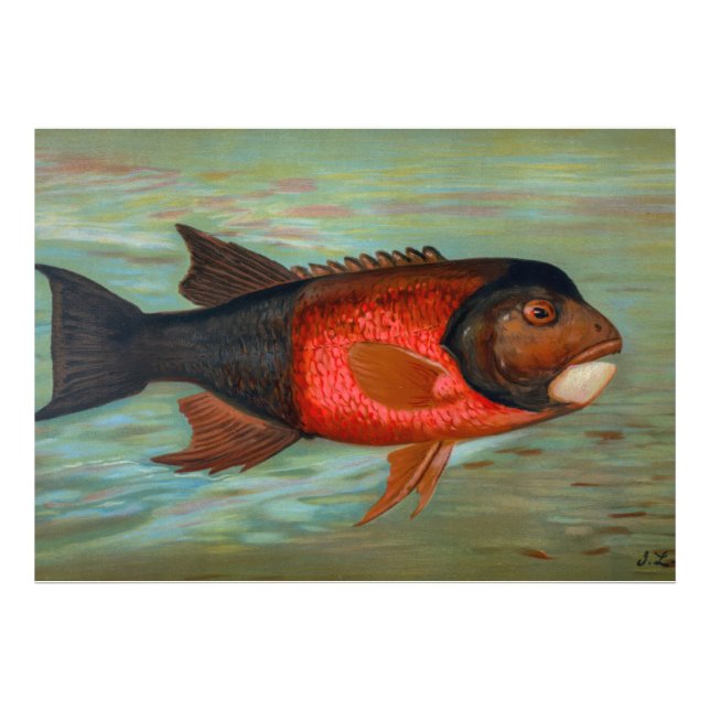 Foto Sacramento Pike por John L Petrie (Frente)