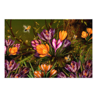 Foto Saffron Crocus