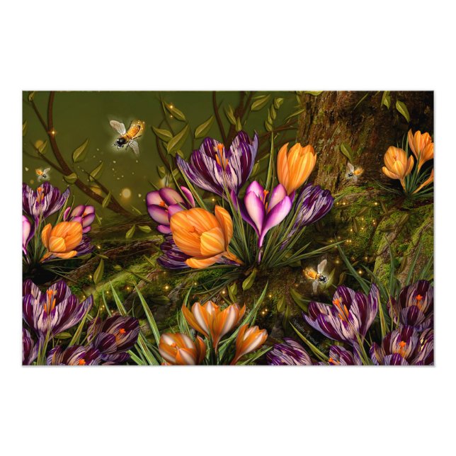 Foto Saffron Crocus (Frente)