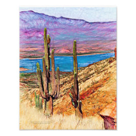 Foto Saguaro Cacti Blue Lake Purple Mountains Arizona