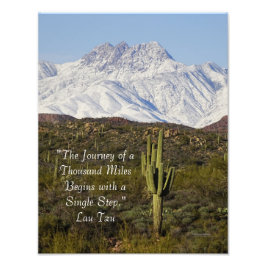 Foto Saguaro Cactus Montañas con capa de nieve Arizona 