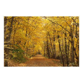 Foto Sakatah Singing Hills State Trail Photo Print