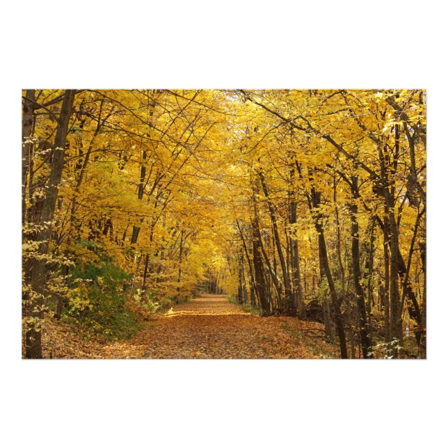 Foto Sakatah Singing Hills State Trail Photo Print (Frente)