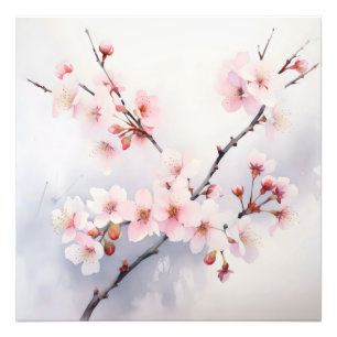 Foto Sakura Blooming