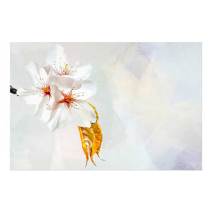 Foto Sakura - Flor japonesa de cerezo