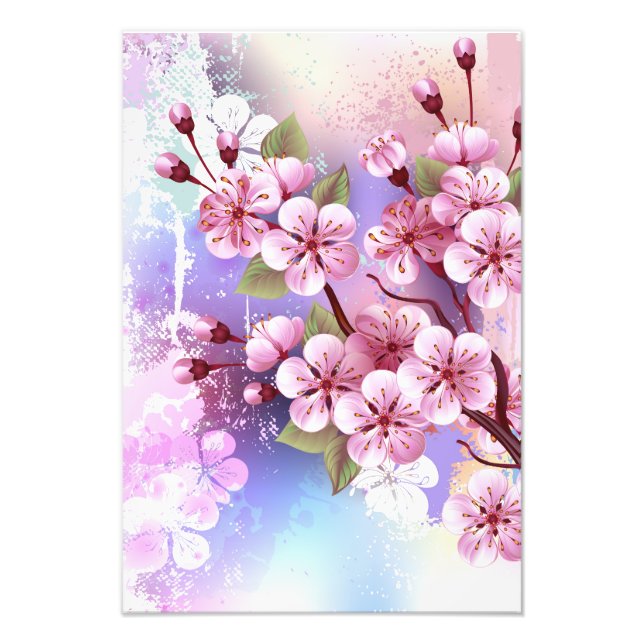 Foto Sakura rosa sobre fondo de pintura (Frente)
