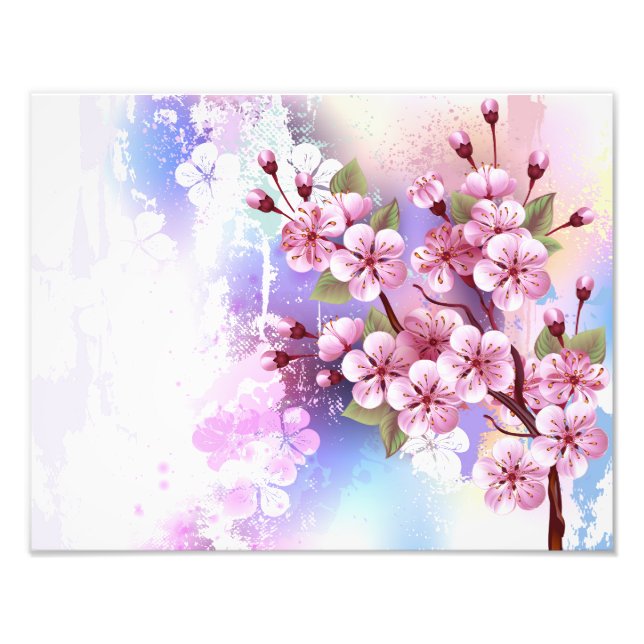 Foto Sakura rosa sobre fondo de pintura (Frente)