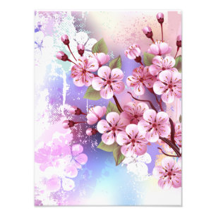 Foto Sakura rosa sobre fondo de pintura