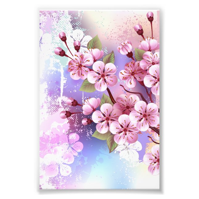 Foto Sakura rosa sobre fondo de pintura (Frente)