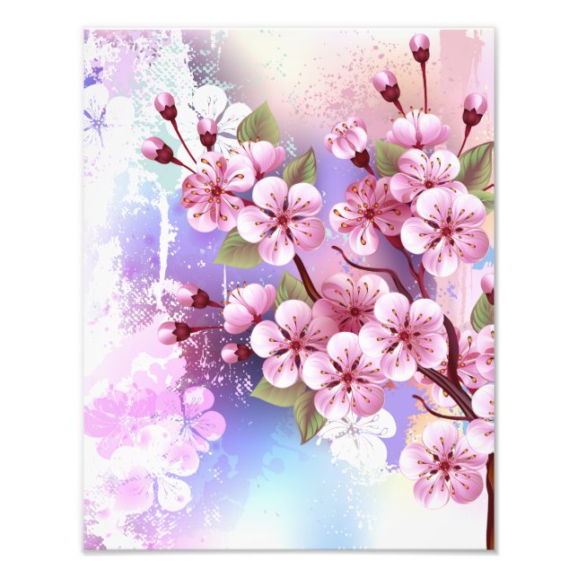 Foto Sakura rosa sobre fondo de pintura (Frente)