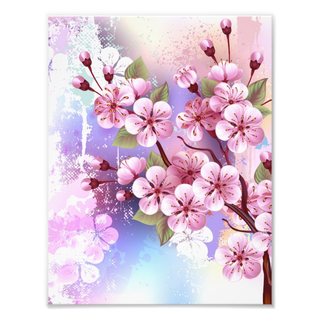 Foto Sakura rosa sobre fondo de pintura (Frente)
