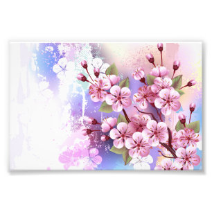 Foto Sakura rosa sobre fondo de pintura