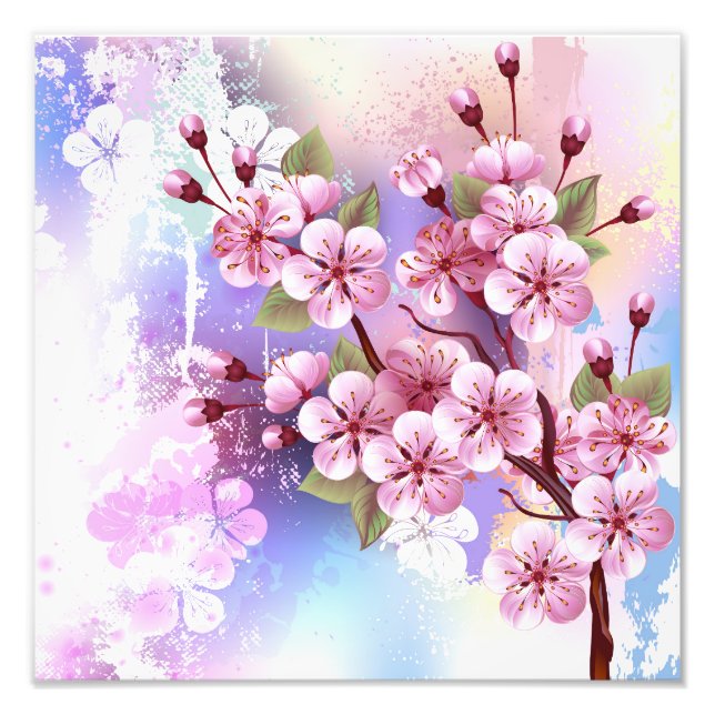 Foto Sakura rosa sobre fondo de pintura (Frente)