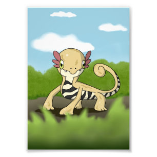 Foto Salamandra