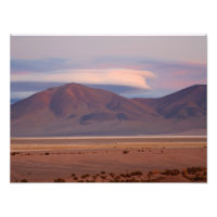 Salar del Huasco, Chile