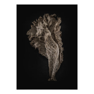 Foto Sale de la versión de color no 8