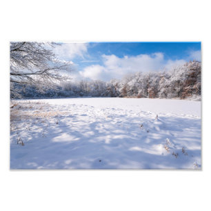 Foto Salem Hills Pond y Forest Winscape