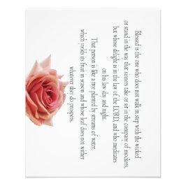 Foto Salmo 1, Día y Noche de la Ley, Ríos de Aguas,