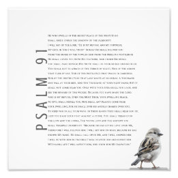 Foto Salmo cristiano moderno 91 pájaro pequeño lindo
