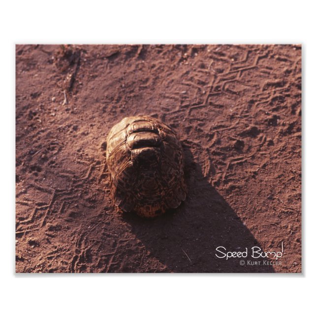 Foto Salto de velocidad (Frente)