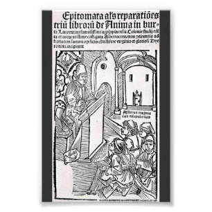 Foto San Alberto Magno Doctor Universal del Arte