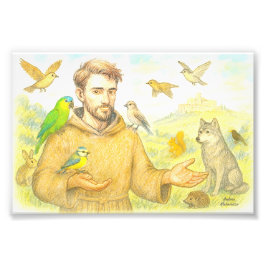 Foto San Francisco - el sermón para las aves y los anim