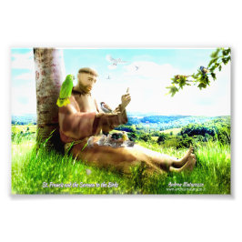 Foto San Francisco y los sermonederos de los pájaros