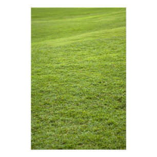 Foto San Juan, Puerto Rico - La hierba verde es