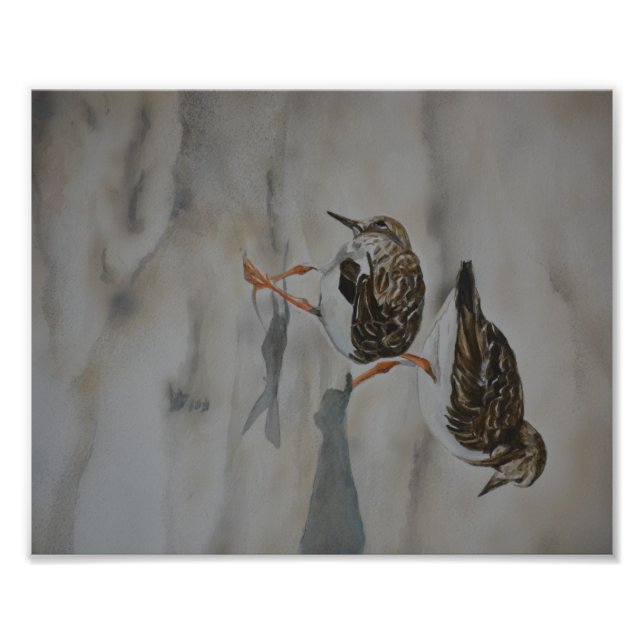 Foto Sand Pipers Bird Art Reproduction Photo Print (Frente)