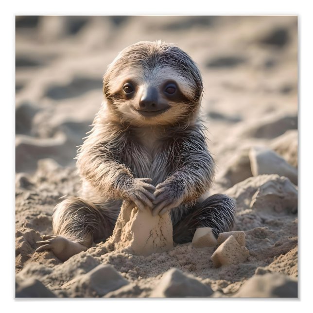 Foto Sandy Shores : Baby Sloth Building Sand Castles, (Frente)