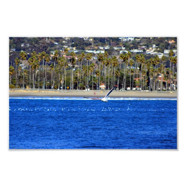 Foto Santa Barbara, CA (Frente)